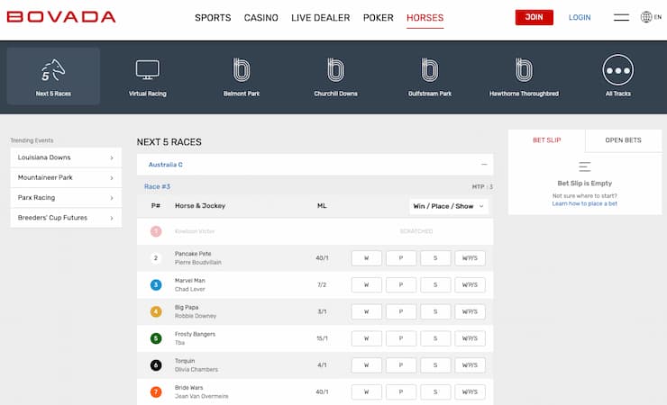 Odds display from Bovada, a major player among horse racing betting websites.